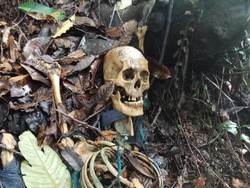 Hilang 3 Bulan, Warga Nagekeo NTT Ditemukan Tinggal Rangka Tanpa Tulang Kaki