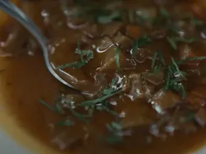 Keren! Sup Penyu Vegan Dibuat Pakai AI untuk Lindungi Kepunahan Keren! Sup Penyu Vegan Dibuat Pakai AI untuk Lindungi Kepunahan