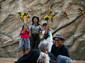 7 Rekomendasi Wisata Edukasi Anak Bernuansa Alam untuk Akhir Pekan