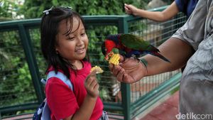 Menikmati Libur Panjang di Jakarta Bird Land Ancol