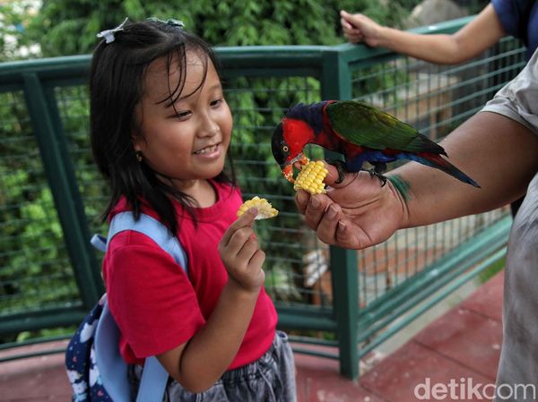 Menikmati Libur Panjang di Jakarta Bird Land Ancol