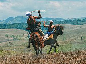 Tradisi Pasola di Sumba Barat, Sejarah hingga Waktu Pelaksanaan Tradisi Pasola di Sumba Barat, Sejarah hingga Waktu Pelaksanaan