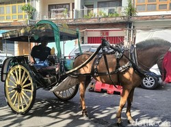 Wisata Dokar Gratis Diminati Anak-anak, Layani 2.735 Orang dalam Tiga Bulan