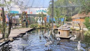 Baru! Jogja Hadirkan Taman Aviary Seru Lewat Ibarbo Park