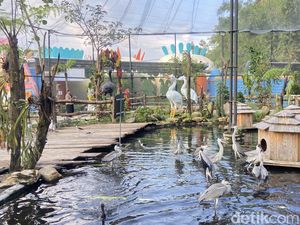 Baru! Jogja Hadirkan Taman Aviary Seru Lewat Ibarbo Park