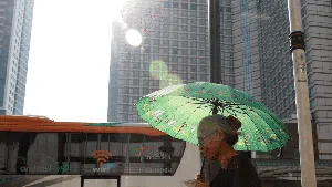 Bingkai Sepekan: Kala Bencana Iklim Mengguncang Dunia