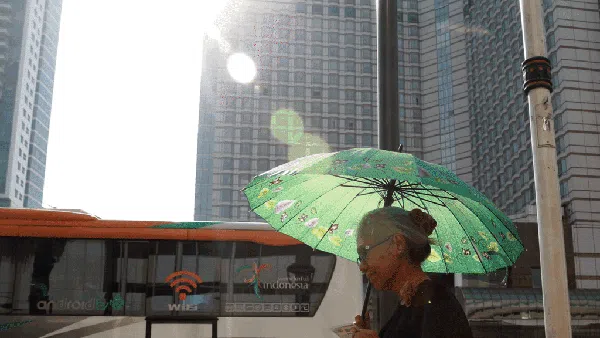 Bingkai Sepekan: Kala Bencana Iklim Mengguncang Dunia