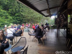 Ngopi Bonus Suara Menenangkan Gemericik Air Sungai di River Deck