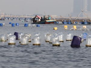 Penampakan Bagan Tancap yang Menjamur di Perairan Dadap Teluk Jakarta Penampakan Bagan Tancap yang Menjamur di Perairan Dadap Teluk Jakarta