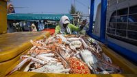 Permintaan AS & Eropa Turun, Harga Rajungan Anjlok ke Rp 50 Ribu/Kg