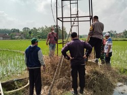 Kades Gombang Blora Ditemukan Tewas di Sawah, Diduga Tersetrum Listrik