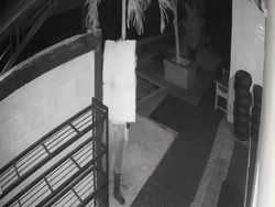 Viral Manusia Kardus Bobol Rumah Makan Seyegan Sleman