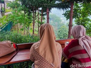 Ngopi Cantik Sambil Menatap Hutan Lembang Ngopi Cantik Sambil Menatap Hutan Lembang