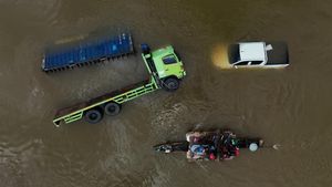 Potret Kendaraan Terjebak Banjir Bandang di Trans Sulawesi