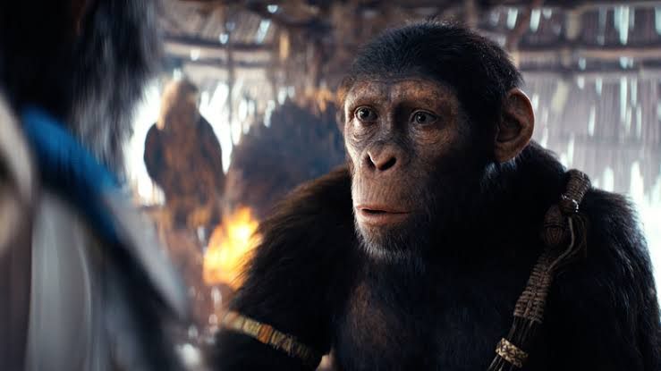 Cuplikan adegan dalam film Kingdom of the Planet of the Apes.