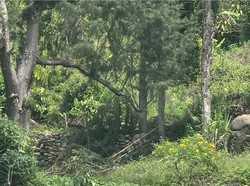 OPM Kabur Usai Baku Tembak dengan TNI-Polri di Intan Jaya, Markas Ditemukan