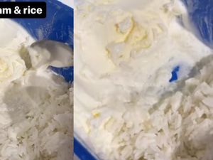 Agak Lain! Netizen Ini Makan Nasi Lauk Es Krim Vanila Agak Lain! Netizen Ini Makan Nasi Lauk Es Krim Vanila