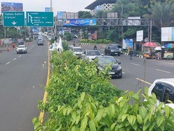 Jelang Long Weekend, Puncak Bogor Diberlakukan Ganjil Genap Sore Ini