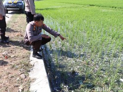 Penyelidikan Kasus Petasan Balon Udara Meledak Terkendala Keluarga Korban
