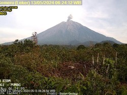 Gunung Semeru Erupsi 5 Kali Pagi Ini, Ketinggian Letusan 500 Meter