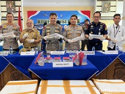 Lagi, Tim Gabungan Gagalkan Penyelundupan 125.684 Benih Lobster ke Singapura