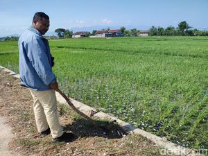 4 Remaja Ponorogo Luka Usai Kena Ledakan Mercon yang Diikat di Balon Udara