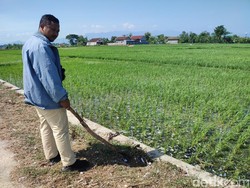 4 Remaja Ponorogo Luka Usai Kena Ledakan Mercon yang Diikat di Balon Udara
