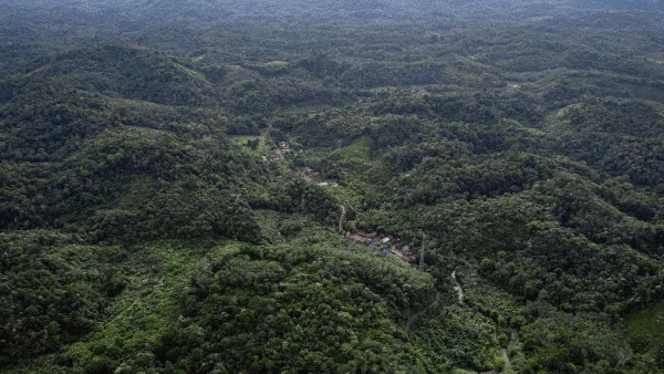 Menjaga Hutan dan Sumber Pangan ala Suku Dayak Pitap