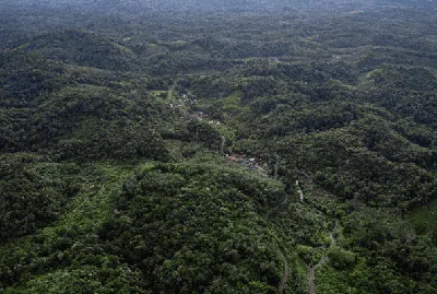 Menjaga Hutan dan Sumber Pangan ala Suku Dayak Pitap
