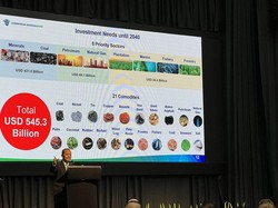 RI & Australia Bisa Jadi Raksasa Industri Baterai Mobil Listrik