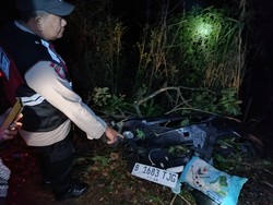 Petaka Fortuner Rombongan Pengantin Terjun ke Jurang Malang Tewaskan 4 Orang