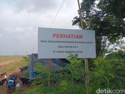 Potret Proyek Rp 40 Triliun yang Direstui Jokowi Jadi PSN