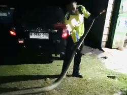 Polisi Evakuasi Ular Piton 5 Meter di Jalan Poros Maros-Bone di Kappang