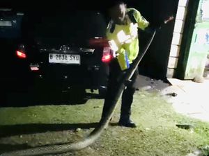 Polisi Evakuasi Ular Piton 5 Meter di Jalan Poros Maros-Bone di Kappang Polisi Evakuasi Ular Piton 5 Meter di Jalan Poros Maros-Bone di Kappang