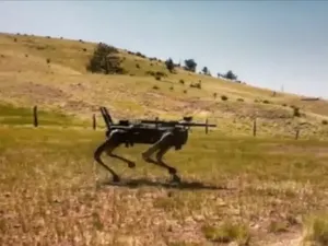 Sangat Canggih, Kenapa Robot Tidak Bisa Berlari Lebih Cepat dari Cheetah? Sangat Canggih, Kenapa Robot Tidak Bisa Berlari Lebih Cepat dari Cheetah?