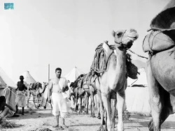 Menelusuri 7 Rute Haji Kuno, saat Kufah dan Bahrain Jadi Jalur Penting