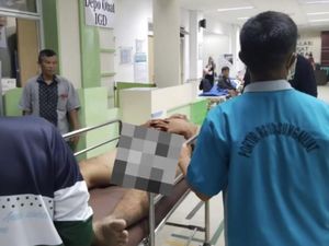 Pria di Bangka Babak Belur Dimassa Usai Kepergok Curi Buah Sawit Pria di Bangka Babak Belur Dimassa Usai Kepergok Curi Buah Sawit