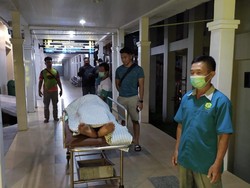 Viral Pria di Bangka Kepergok Curi Sawit hingga Diamuk Massa