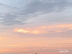 Kisah Misteri Curug Putri yang Terletak di Antara Tegal dan Brebes