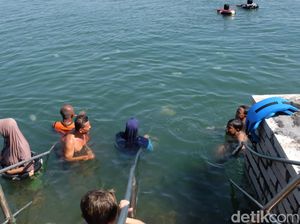 Saat Jutaan Ubur-ubur Serbu Pantai Mayangan dan Warga Tetap Santai Berenang Saat Jutaan Ubur-ubur Serbu Pantai Mayangan dan Warga Tetap Santai Berenang