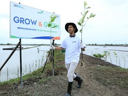 Pembiayaan Berkelanjutan BRI Tembus Rp 787,9 T di Triwulan I 2024