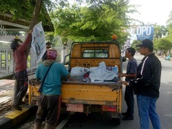 DLH Palopo Tertibkan APK Cawalkot Terpaku di Pohon, Ganggu Estetika Kota