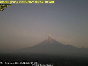 Gunung Semeru Erupsi Pagi Ini, Letusan Abu Capai 600 Meter dari Puncak