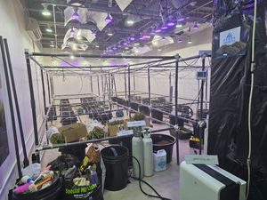 Penampakan Bunker Lab Narkoba Rahasia Jaringan WNA di Bali