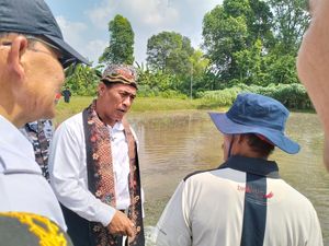 Mentan Amran Genjot Pipanisasi Targetkan Impor Beras Turun 50 Persen