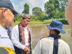 Mentan Amran Genjot Pipanisasi Targetkan Impor Beras Turun 50 Persen