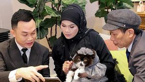 7 Potret Mewah Ulang Tahun Kucing Sultan, Dirayakan di Butik Louis Vuitton