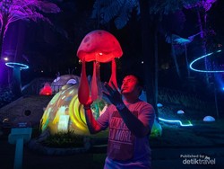 Warna-warni Menawan Hutan Lampu Grafika Cikole di Lembang