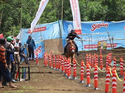 Mengenal Radina Syifaiyah Atlet Muda Panahan Berkuda Pertama di Gresik