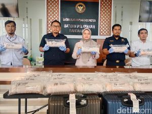 Penyelundupan 80 Ribu Benih Lobster Rp 1,6 Miliar di YIA Digagalkan